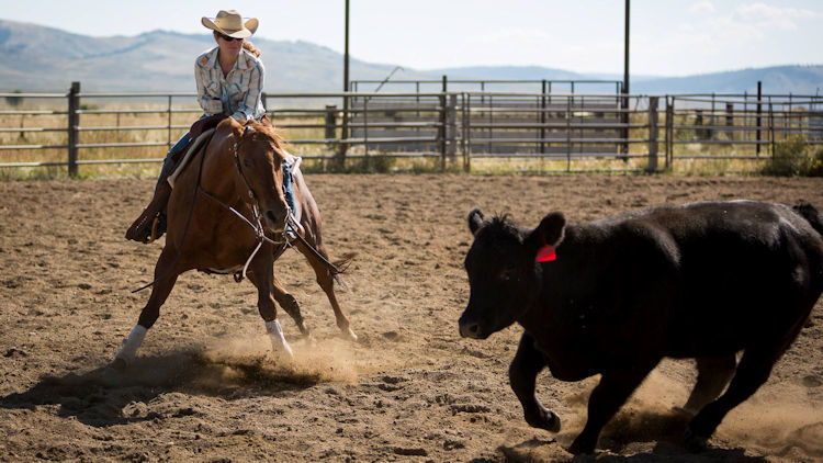 Dude Ranchers Association - An all-inclusive vacation experience like no other-slide-3