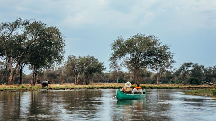 Anabezi Camp