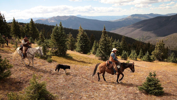 Dude Ranchers Association