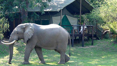 Chiawa Camp - Lower Zambezi National Park, Zambia