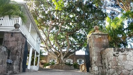 Time Traveler: A Visit to Nevis is a Visit to the Old Caribbean