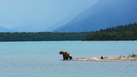 How to Prepare for a Trip to Alaska