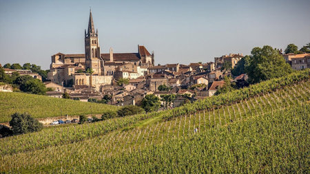 Hôtel de Pavie - Summer in the Vineyards of Saint-Emilion