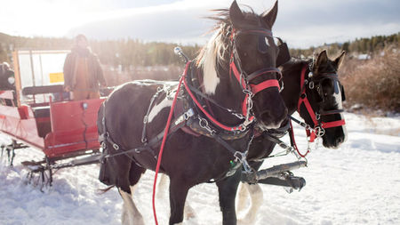 Winter Dude Ranch Vacations